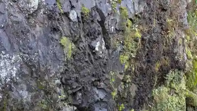 興聖寺（興聖寶林禅寺）の自然