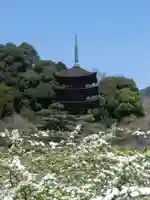 瑠璃光寺(山口県)
