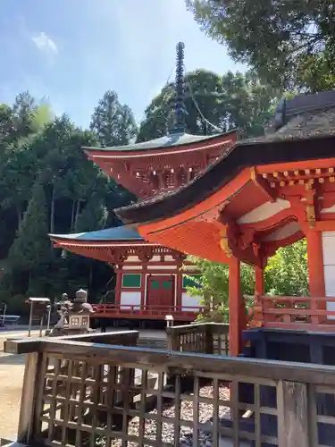 慈尊院の本殿・本堂