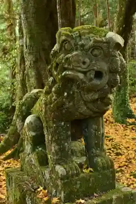 善福寺（山田薬師）(愛媛県)