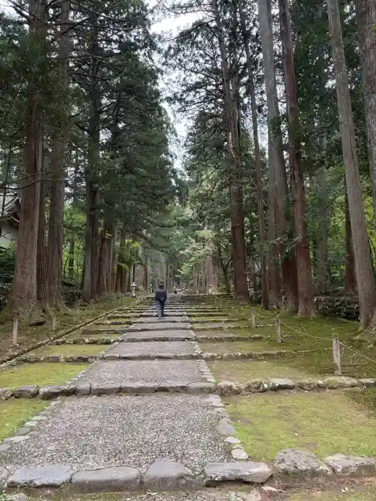 平泉寺白山神社の{uncategorized: "未分類", other: "その他", undefined: "問題あり", building: "その他建物", grave: "お墓", sacred_gate: "鳥居", guardian: "狛犬", statue: "像", buddha: "仏像", history: "歴史", nature: "自然", garden: "庭園", animal: "動物", pagoda: "塔", temizu: "手水舎", mountain_gate: "山門・神門", sanctuary: "本殿・本堂", subordinate: "末社・摂社", art: "芸術", scenery: "景色", jizo: "地蔵", ema: "絵馬", goshuin: "御朱印", omikuji: "おみくじ", items: "授与品その他", amulet: "お守り", goshuincho: "御朱印帳", eats: "食事", festival: "お祭り", votive_dance: "神楽", shichigosan: "七五三参", wedding: "結婚式", experience: "体験その他", initially: "初詣", around: "周辺", anti_infection: "感染症対策"}