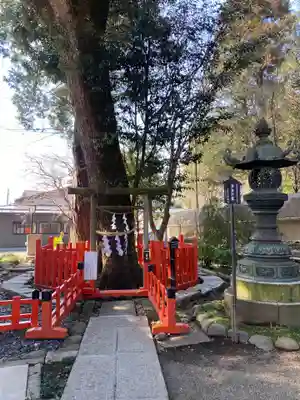 大前神社(栃木県)
