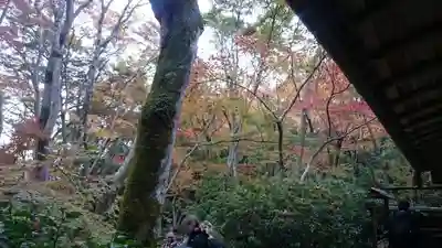 祇王寺のその他建物