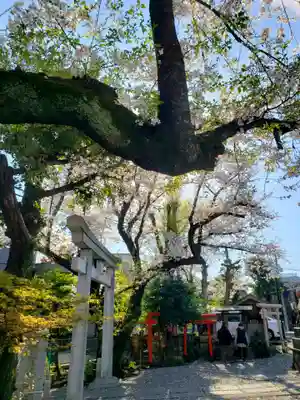 本郷氷川神社(東京都)
