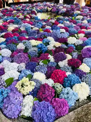 太宰府天満宮の手水舎