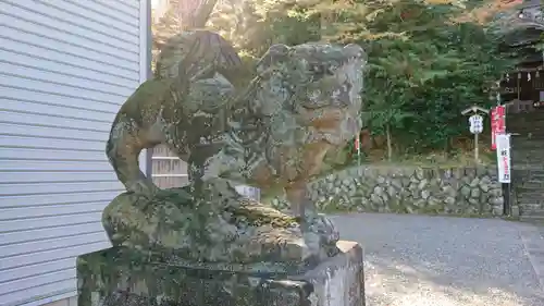 中野神社の狛犬