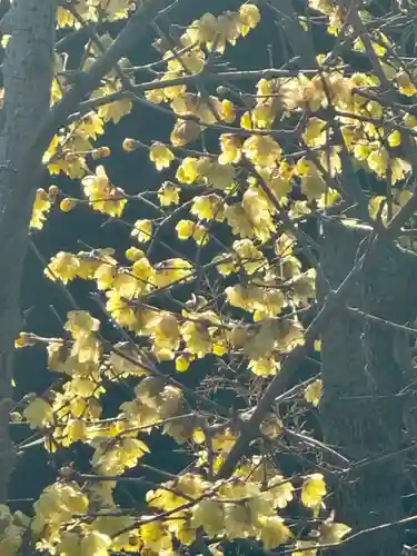 大蓮寺(京都府)