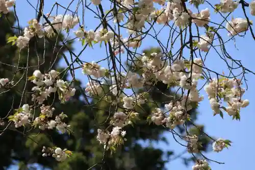 磐椅神社の庭園