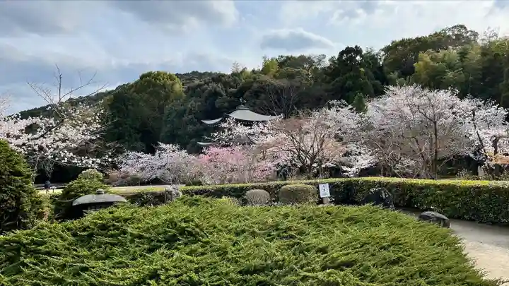 勧修寺(京都府)
