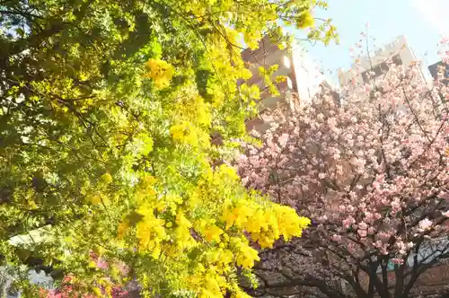蔵前神社(東京都)