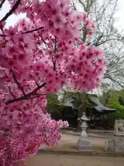 賀羅加波神社の自然