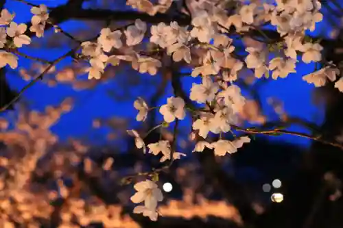 長屋神社の庭園