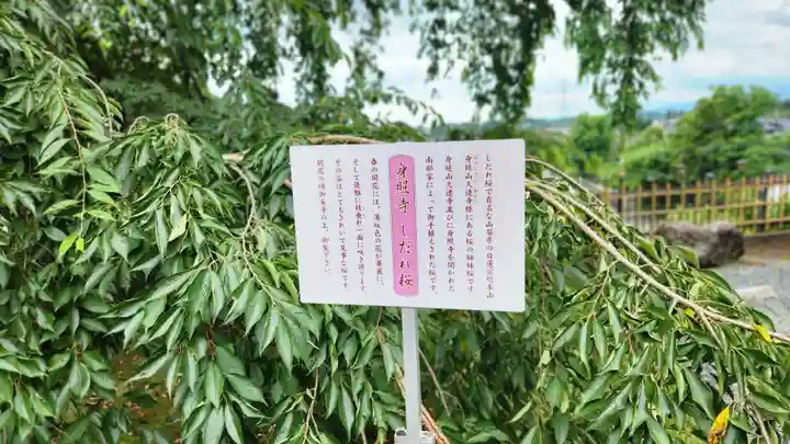 身照寺(岩手県)