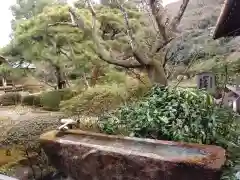 青蓮院門跡の手水