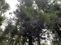 大宮温泉神社(栃木県)