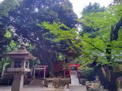 乃木神社(東京都)