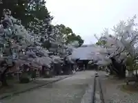 大樹寺(松安院大樹寺)のその他建物