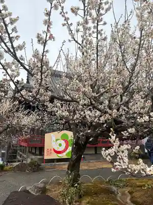 岩津天満宮(愛知県)