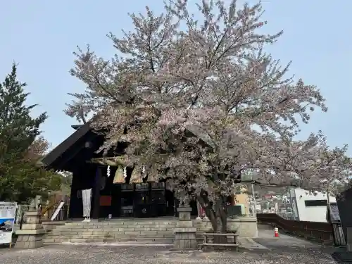 龍宮神社の{uncategorized: "未分類", other: "その他", undefined: "問題あり", building: "その他建物", grave: "お墓", sacred_gate: "鳥居", guardian: "狛犬", statue: "像", buddha: "仏像", history: "歴史", nature: "自然", garden: "庭園", animal: "動物", pagoda: "塔", temizu: "手水舎", mountain_gate: "山門・神門", sanctuary: "本殿・本堂", subordinate: "末社・摂社", art: "芸術", scenery: "景色", jizo: "地蔵", ema: "絵馬", goshuin: "御朱印", omikuji: "おみくじ", items: "授与品その他", amulet: "お守り", goshuincho: "御朱印帳", eats: "食事", festival: "お祭り", votive_dance: "神楽", shichigosan: "七五三参", wedding: "結婚式", experience: "体験その他", initially: "初詣", around: "周辺", anti_infection: "感染症対策"}