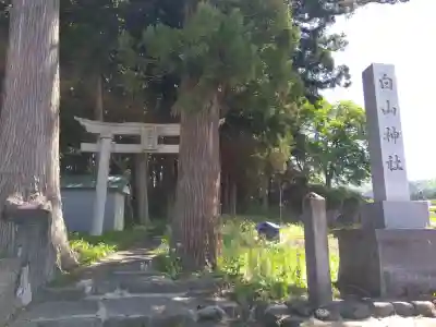 白山神社の{uncategorized: "未分類", other: "その他", undefined: "問題あり", building: "その他建物", grave: "お墓", sacred_gate: "鳥居", guardian: "狛犬", statue: "像", buddha: "仏像", history: "歴史", nature: "自然", garden: "庭園", animal: "動物", pagoda: "塔", temizu: "手水舎", mountain_gate: "山門・神門", sanctuary: "本殿・本堂", subordinate: "末社・摂社", art: "芸術", scenery: "景色", jizo: "地蔵", ema: "絵馬", goshuin: "御朱印", omikuji: "おみくじ", items: "授与品その他", amulet: "お守り", goshuincho: "御朱印帳", eats: "食事", festival: "お祭り", votive_dance: "神楽", shichigosan: "七五三参", wedding: "結婚式", experience: "体験その他", initially: "初詣", around: "周辺", anti_infection: "感染症対策"}