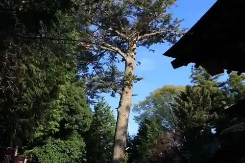 滑川神社 - 仕事と子どもの守り神の自然