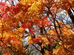 筑波山神社 女体山御本殿の景色