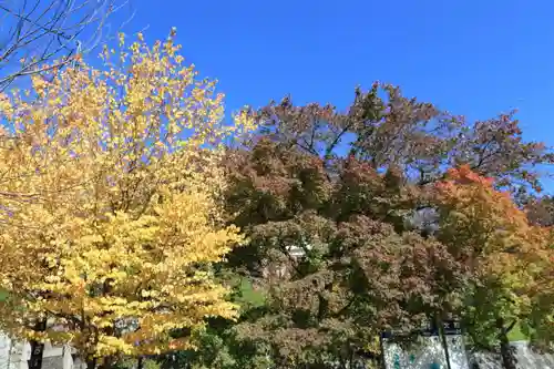 王子神社の景色