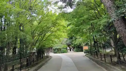 宇治上神社(京都府)