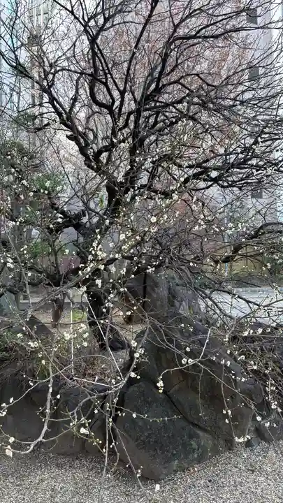 御霊神社(大阪府)