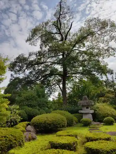 能仁寺の庭園