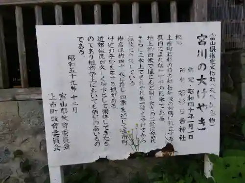 日吉神社の{uncategorized: "未分類", other: "その他", undefined: "問題あり", building: "その他建物", grave: "お墓", sacred_gate: "鳥居", guardian: "狛犬", statue: "像", buddha: "仏像", history: "歴史", nature: "自然", garden: "庭園", animal: "動物", pagoda: "塔", temizu: "手水舎", mountain_gate: "山門・神門", sanctuary: "本殿・本堂", subordinate: "末社・摂社", art: "芸術", scenery: "景色", jizo: "地蔵", ema: "絵馬", goshuin: "御朱印", omikuji: "おみくじ", items: "授与品その他", amulet: "お守り", goshuincho: "御朱印帳", eats: "食事", festival: "お祭り", votive_dance: "神楽", shichigosan: "七五三参", wedding: "結婚式", experience: "体験その他", initially: "初詣", around: "周辺", anti_infection: "感染症対策"}