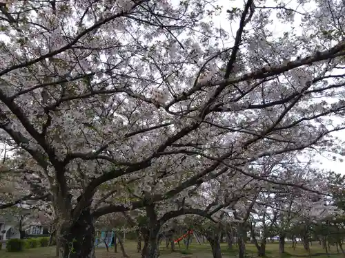 濱見神社(福井県)