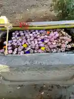 千代ケ岡八幡宮の手水舎