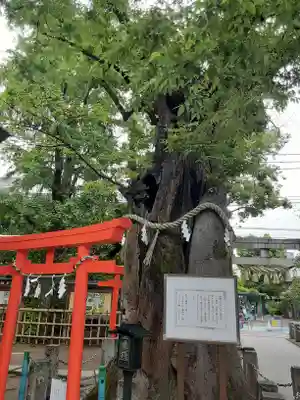 新田神社(東京都)
