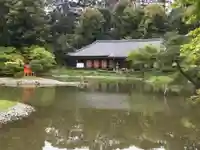 浄瑠璃寺の庭園