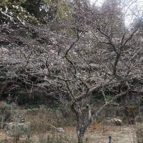 正宗寺(愛知県)