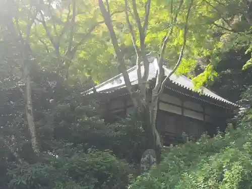 久安寺(大阪府)