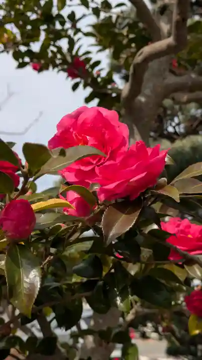 常善寺(滋賀県)
