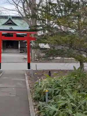 亀田八幡宮(北海道)