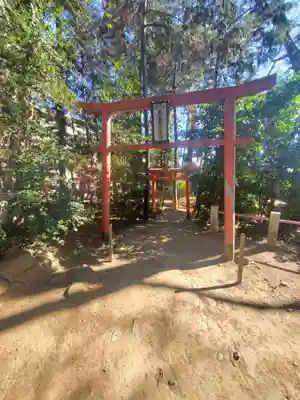 開運招福 飯玉神社(群馬県)