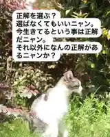 専念寺(大阪府)