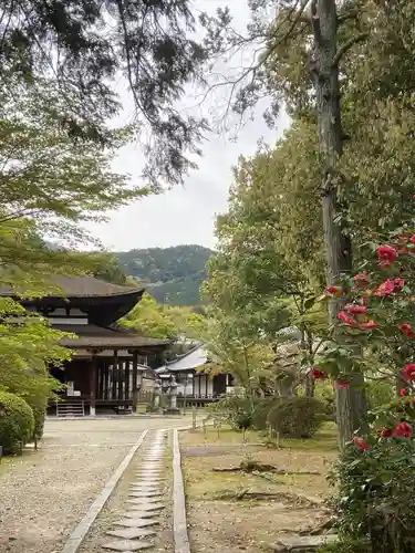 法界寺(日野薬師)のその他建物
