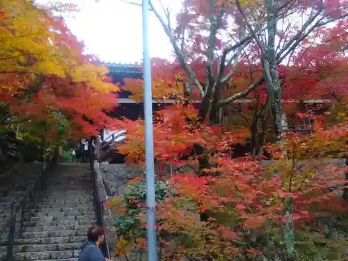 播州清水寺の自然