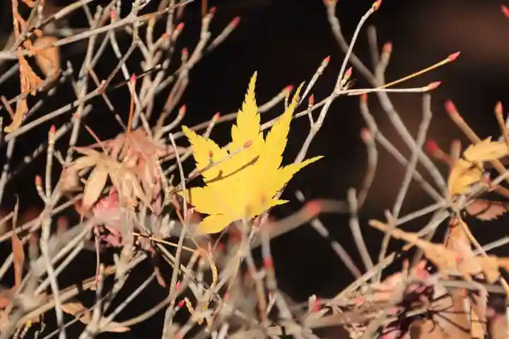 滑川神社 - 仕事と子どもの守り神の自然