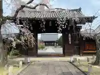 妙覺寺(妙覚寺)(京都府)