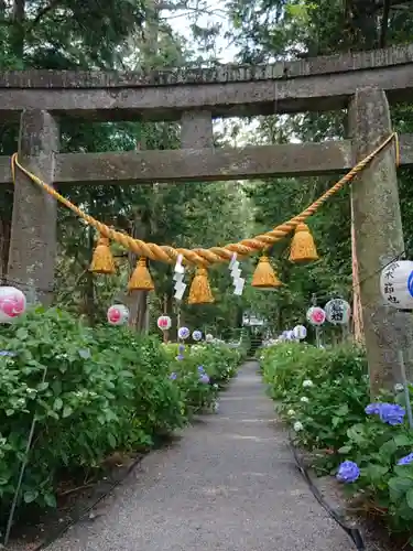 磯山神社の鳥居