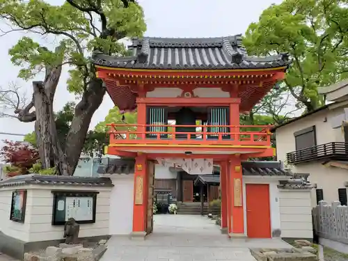 金蓮寺の山門