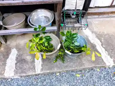 神明社（古見神明社）のその他建物