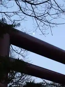 厚別神社(北海道)(2023年04月03日(月) 18時24分53秒投稿)