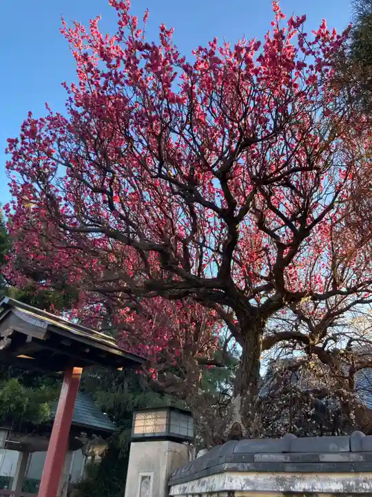 善性寺(神奈川県)